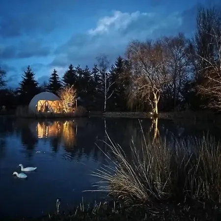 Domaine Des Pins L'ile Au Dome Grundviller