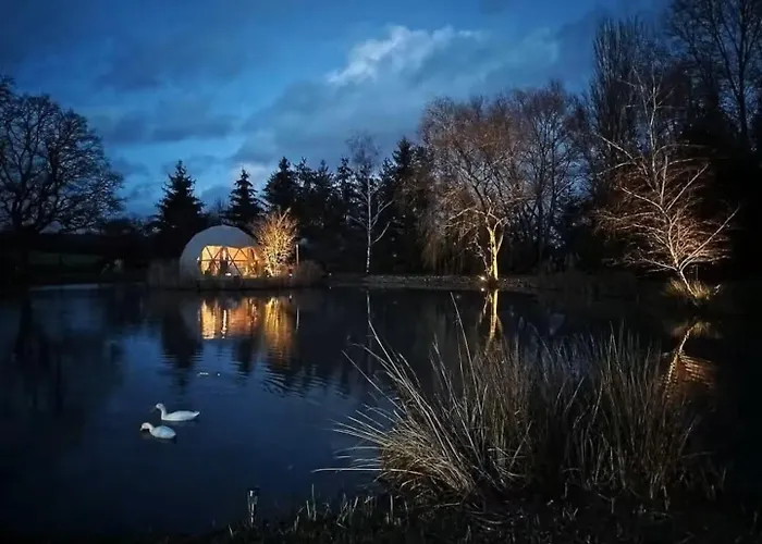 Domaine Des Pins L'ile Au Dome Grundviller